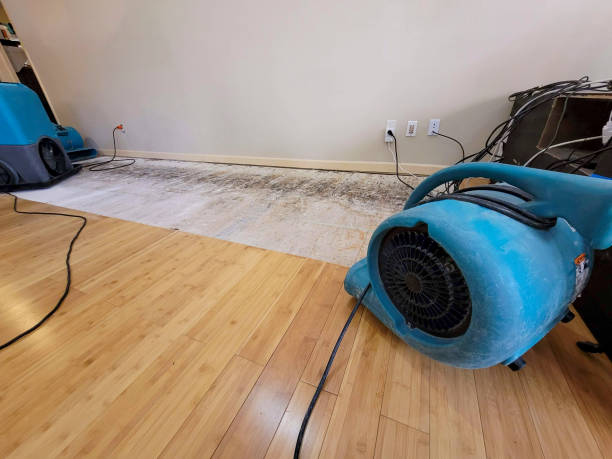 Professional Sewage Cleanup technician working in Drexel, MO